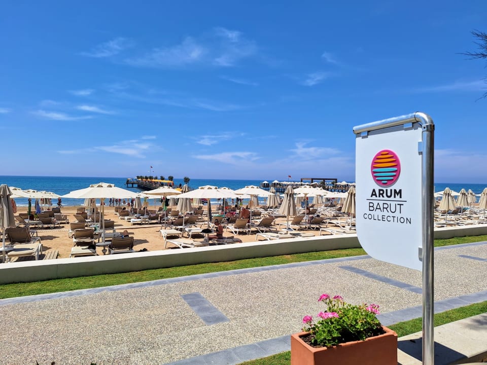 Strand Arum Barut Collection