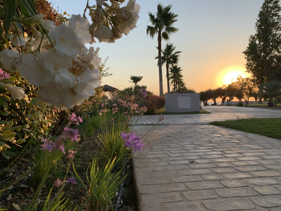 Gartenanlage TUI BLUE Oceanis Beach and Spa Resort