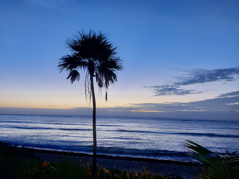 Ausblick Akumal Bay Beach & Wellness Resort