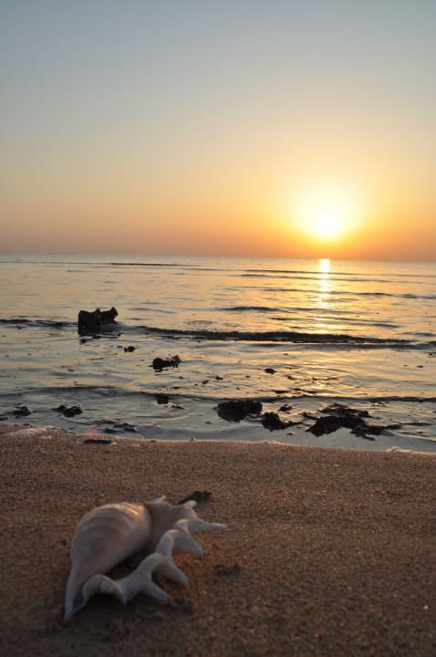 Sunrise Hotel Gorgonia Beach Resort