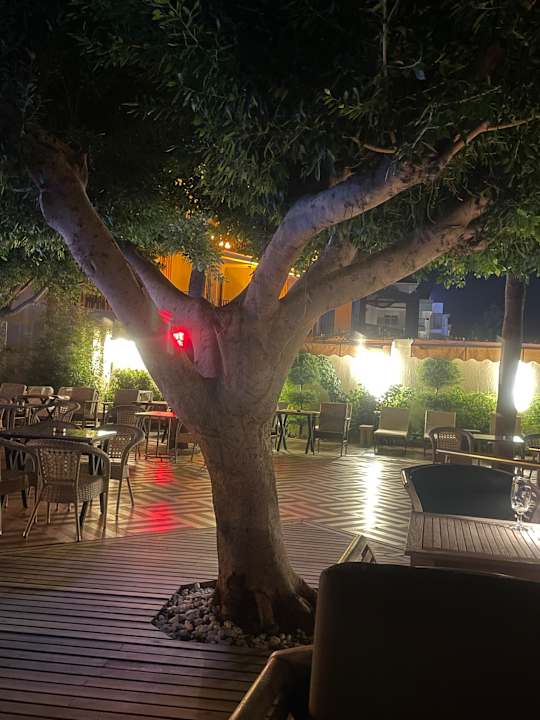 Gartenanlage Nerton Hotel - Erwachsenenhotel ab 16 Jahren