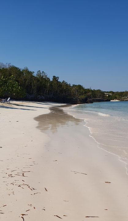 Strand Paradisus Rio de Oro Resort & Spa - Adults only