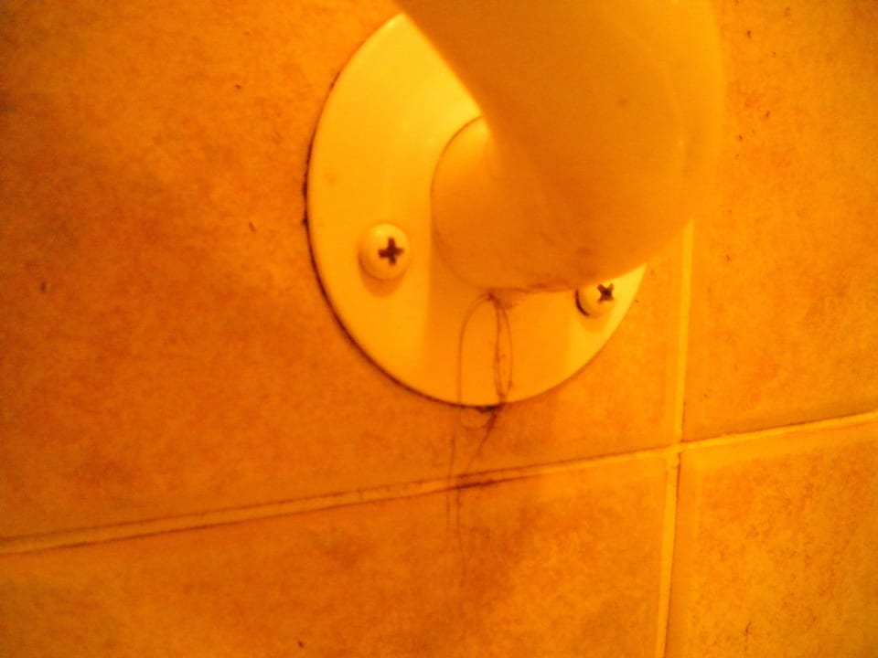 Haare vom Vorgänger Ghazala Gardens