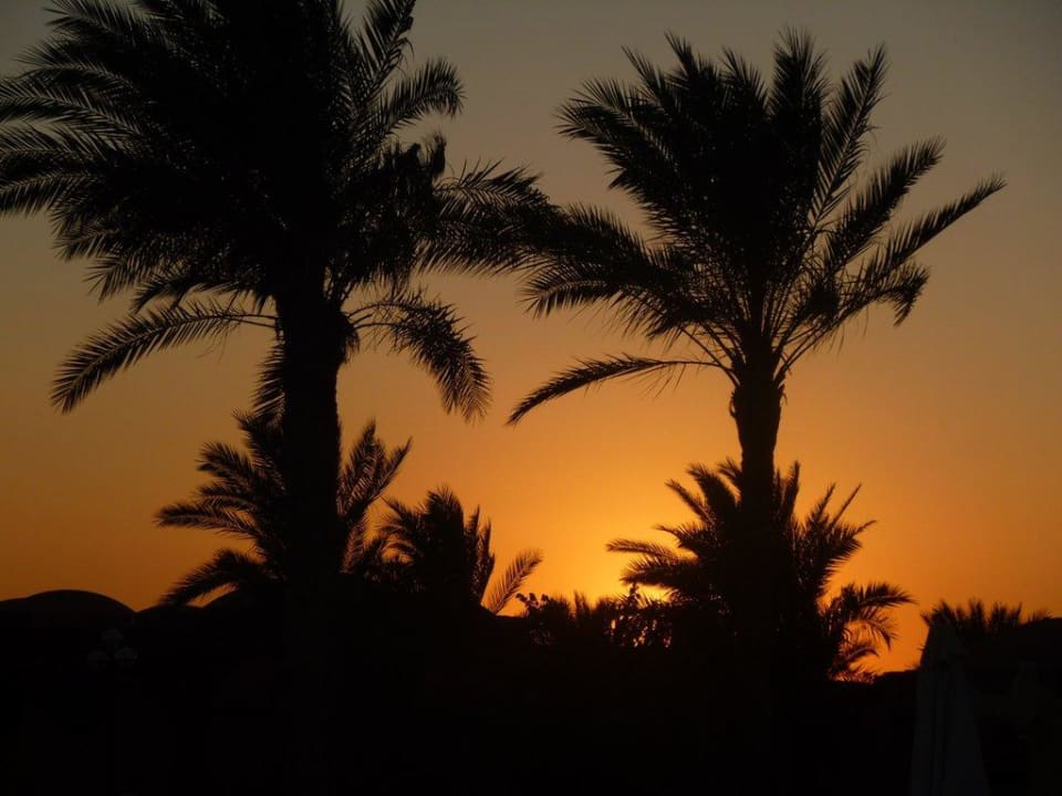 Закат Swisstouch Oriental Resort Marsa Alam
