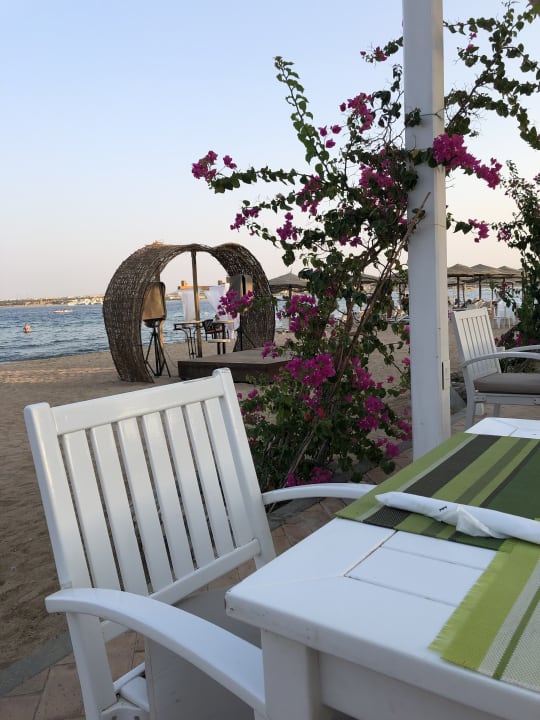 Gastro Fort Arabesque Resort, Spa & Villas