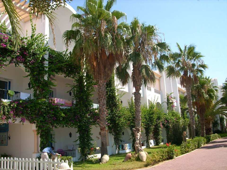 Das Hotel Hotel Nesrine