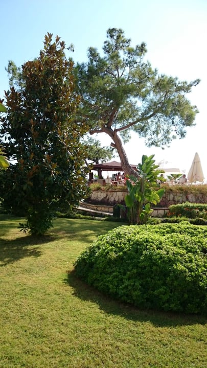 Grün überall Kilikya Palace Göynük