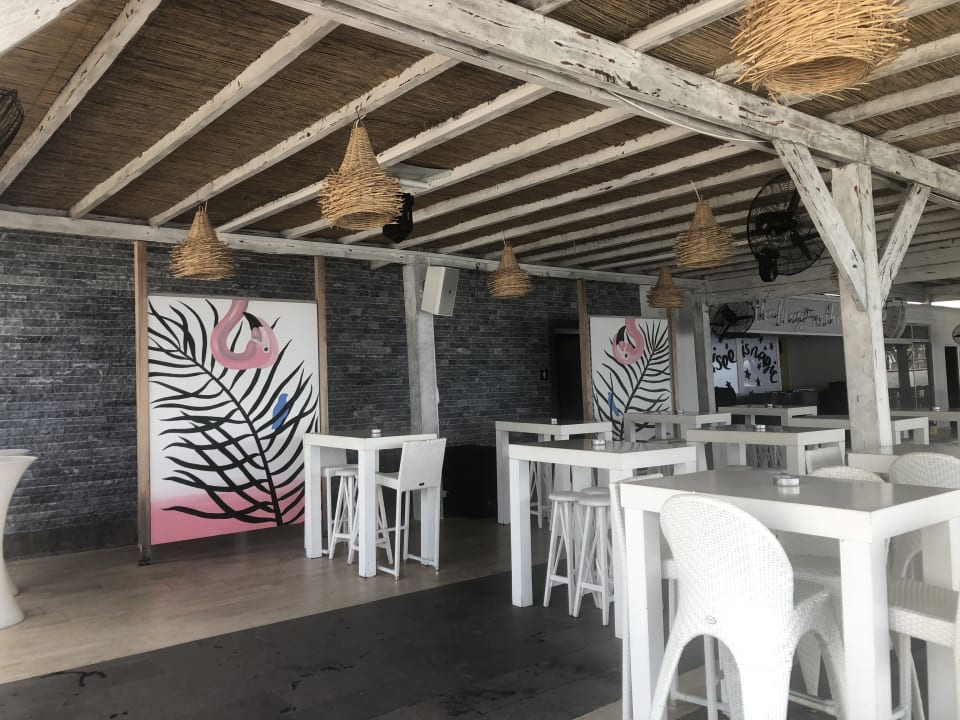 Gastro TUI MAGIC LIFE Bodrum - Adult Only (16+)