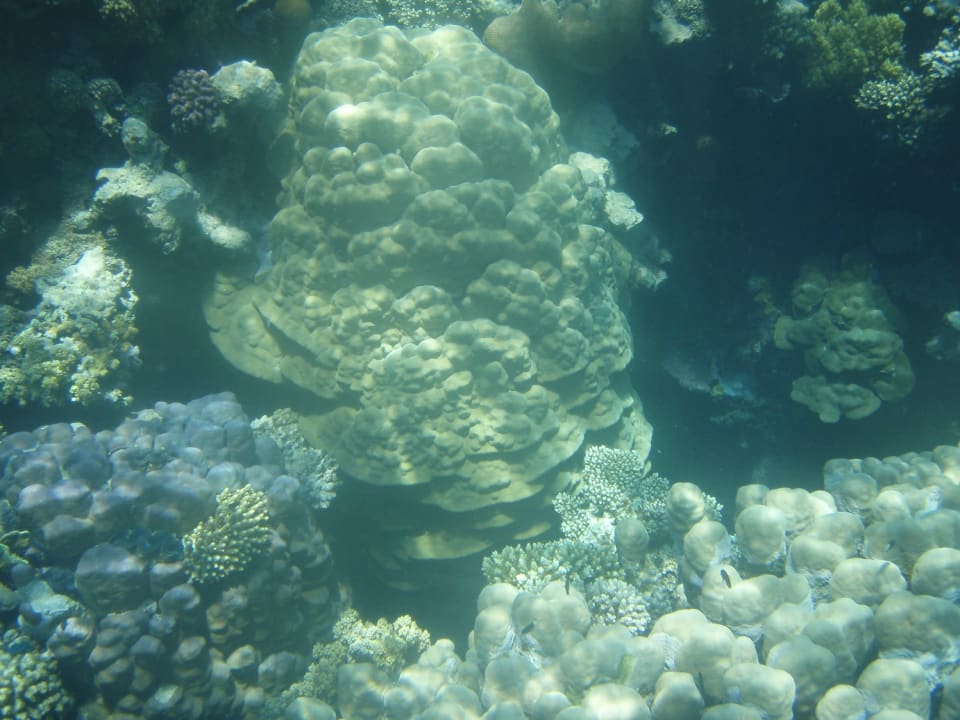 Sport & Freizeit Hotel Gorgonia Beach Resort