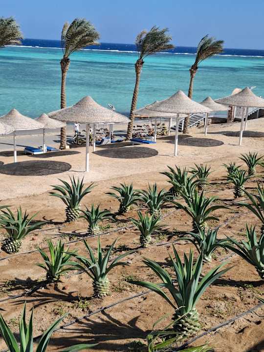 Strand Pickalbatros Villaggio Resort - Portofino