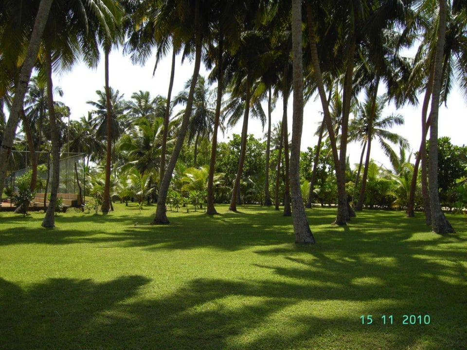 Palmengarten Avani Kalutara Resort