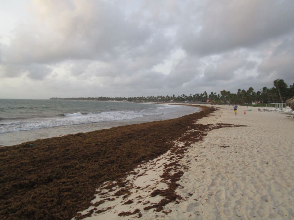Strand Punta Cana Princess All Suites Resort & Spa