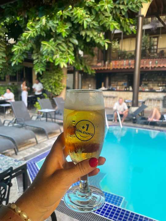 Pool Alp Pasa Hotel - Special Class