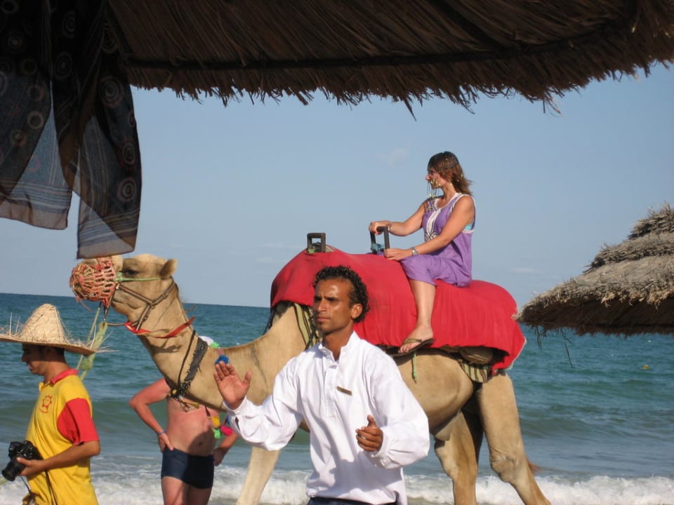 Strandspektakel Vincci Safira Palms