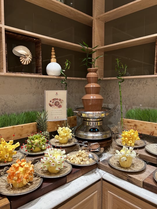 Gastro Acanthus Cennet Barut Collection