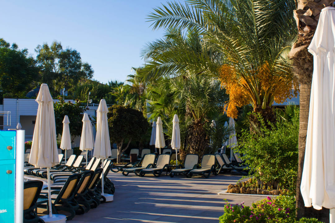 Hotel Alba Queen Alba Queen Hotel