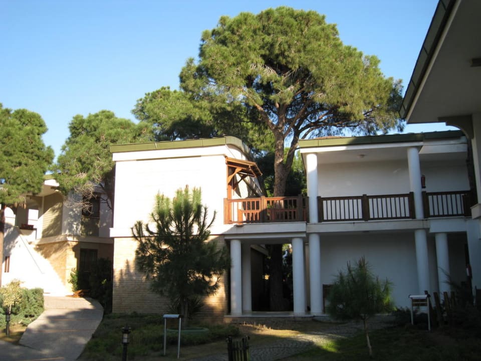 "Baumhaus" Voyage Belek Golf & Spa