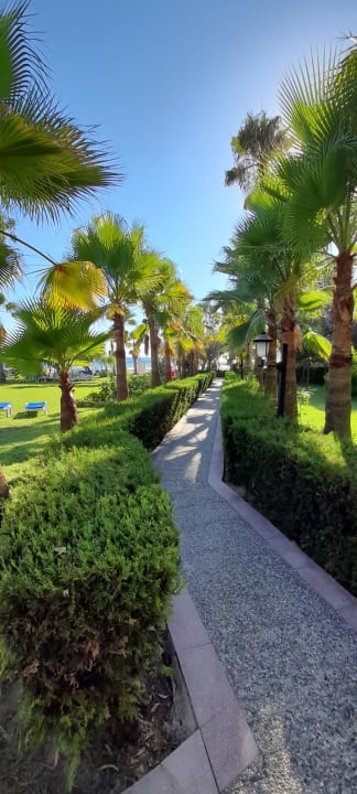 Außenansicht Iz Flower Side Beach Hotel