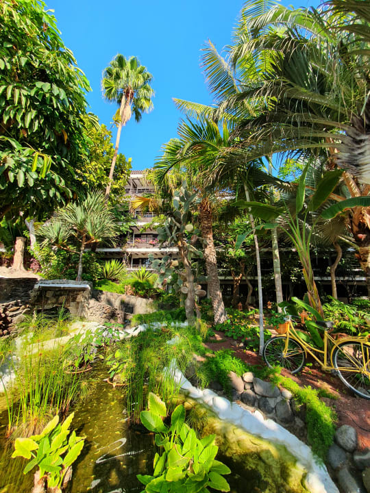 Gartenanlage Hotel Parque Tropical