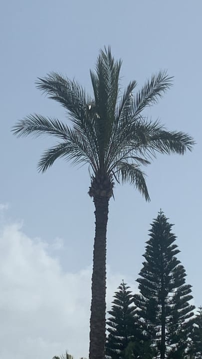 Ausblick Hotel Delphin Imperial