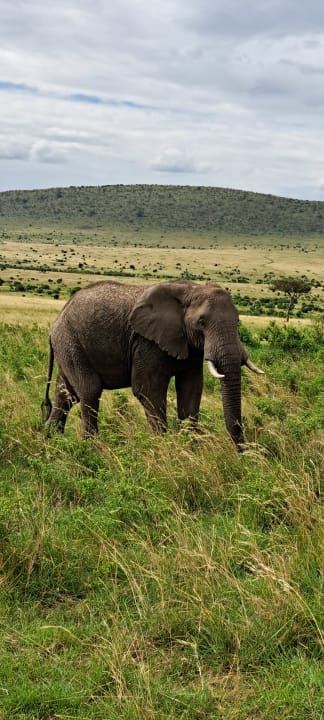 Sport & Freizeit Hotel Masai Mara Sopa Lodge