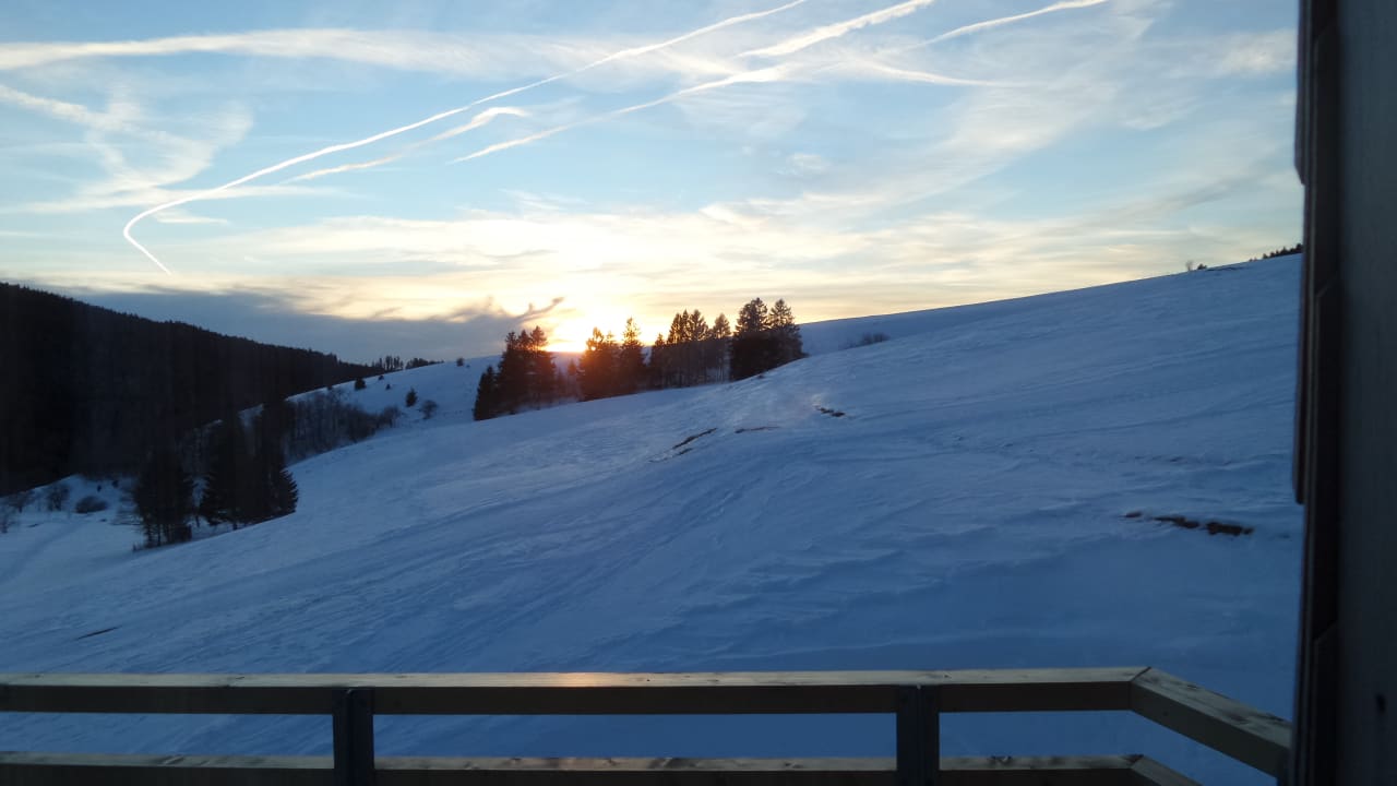 Ausblick vom Balkon derWaldfrieden naturparkhotel