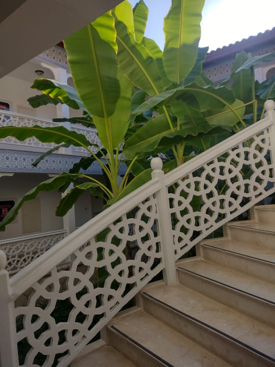 Sonstiges Ali Bey Club