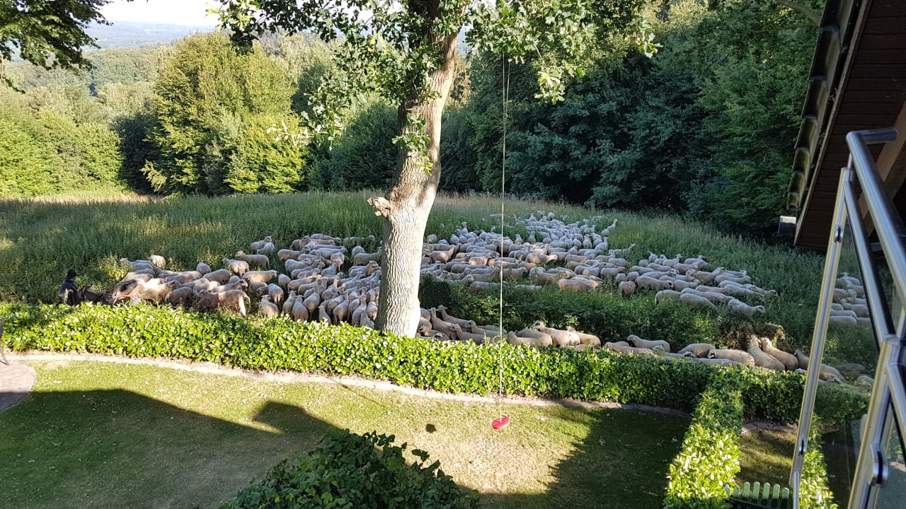 Ausblick Ferienwohnung Tecklenburger Augenblicke