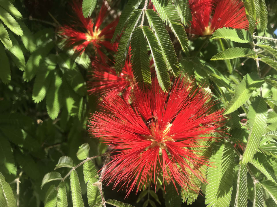 Sonstiges Hotel Giardino sul Mare