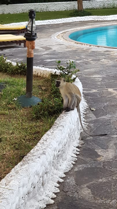 Sonstiges Hotel Southern Palms Beach Resort