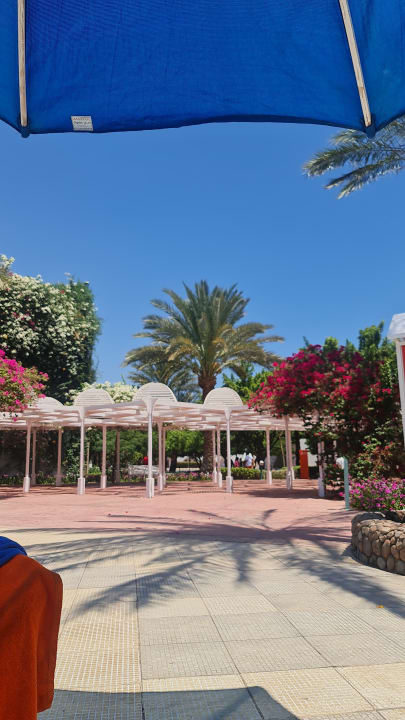 Gartenanlage Desert Rose