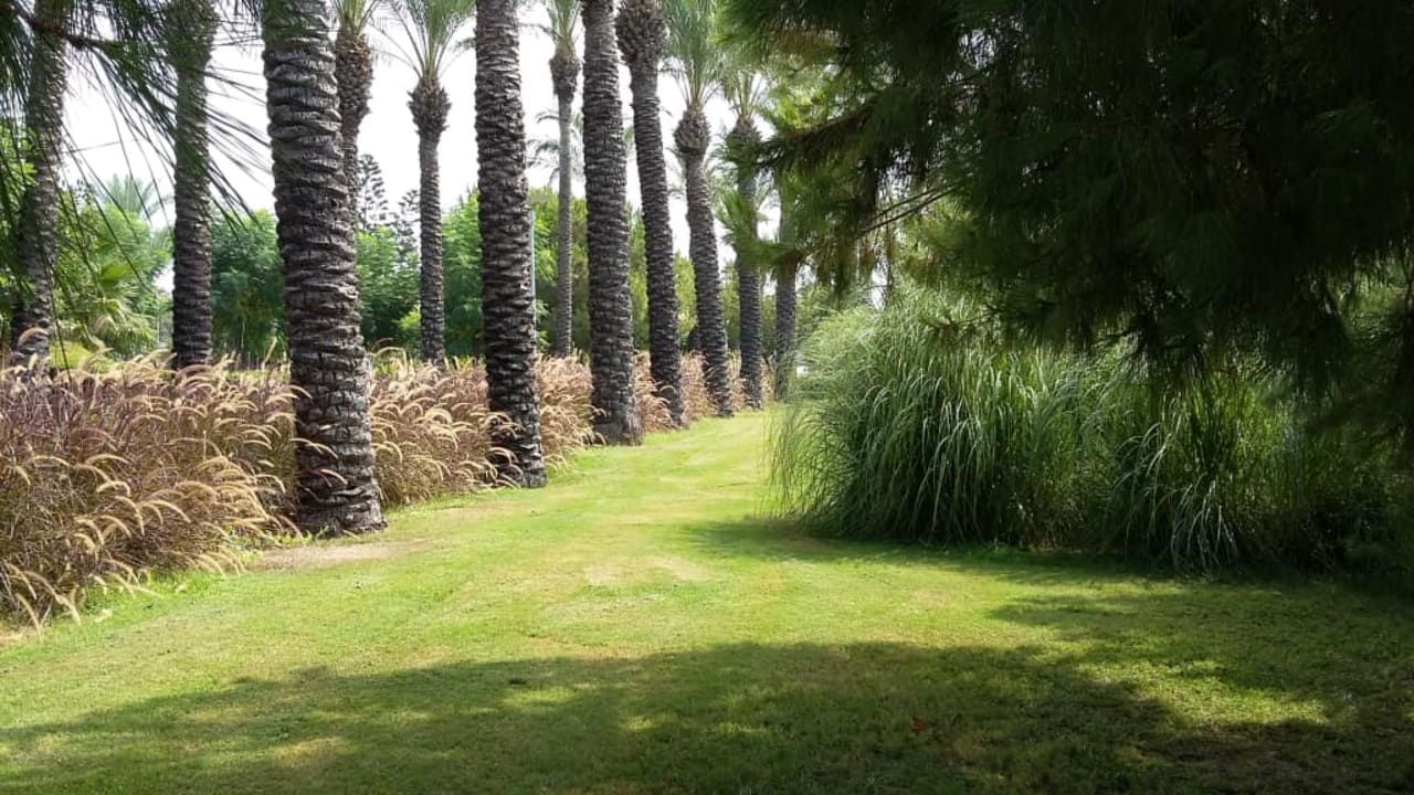 Soczysta, kojąca zieleń AQI Pegasos World