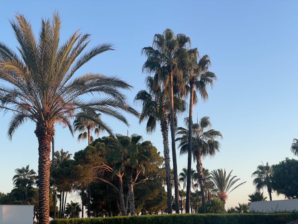 Gartenanlage Hotel Sirma