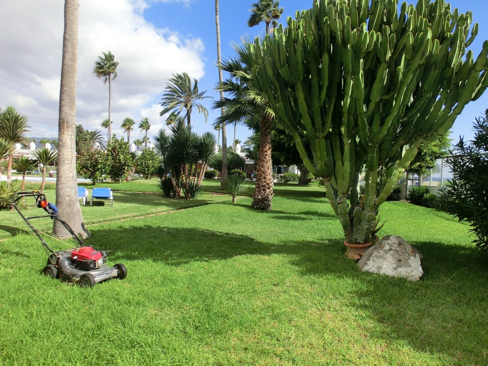 Gartenanlage Sahara Beach Club