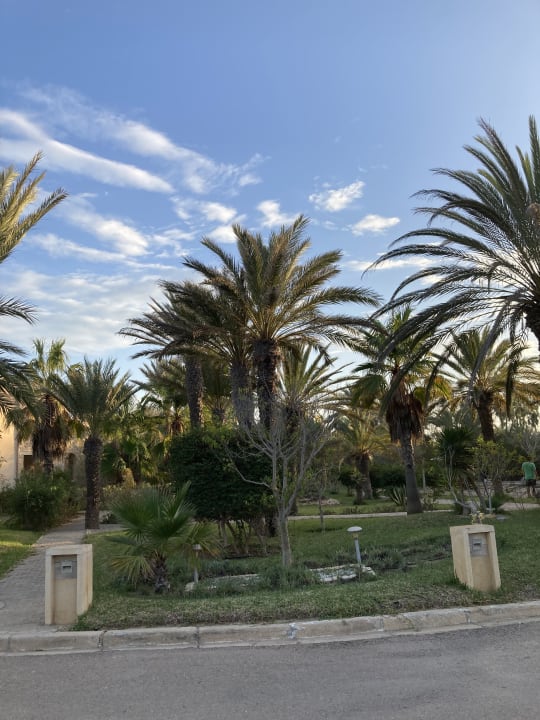 Gartenanlage Sentido Djerba Beach