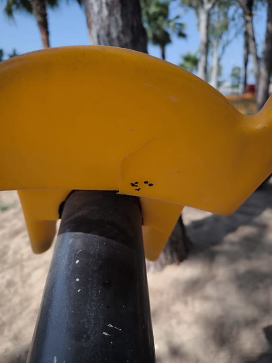 Sport & Freizeit Megasaray Resort Side