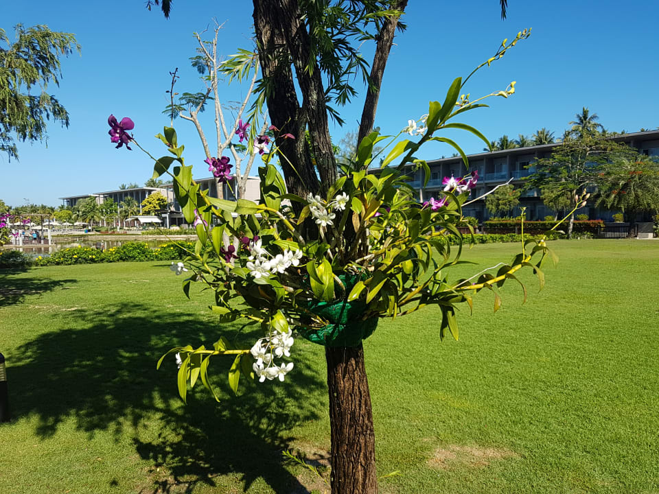 Gartenanlage The Sands Khao Lak by Katathani