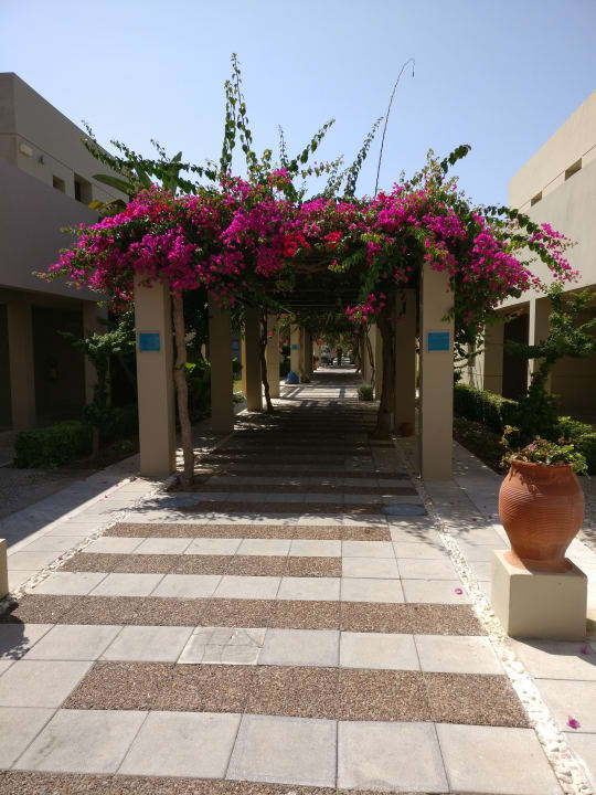 Außenansicht Astir Odysseus Kos Resort & Spa