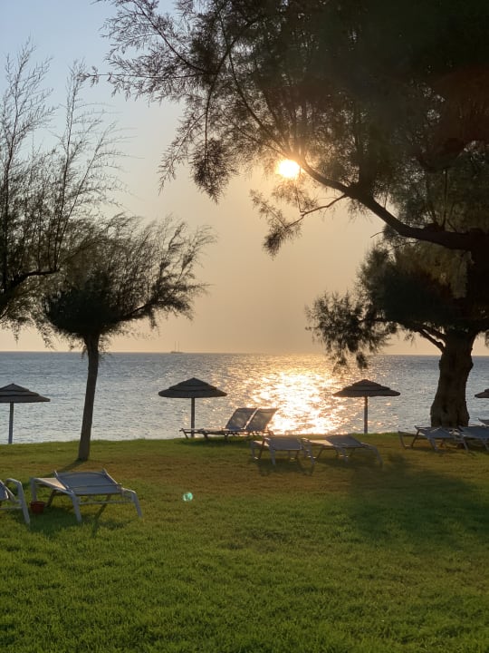 Strand TUI BLUE Oceanis Beach and Spa Resort