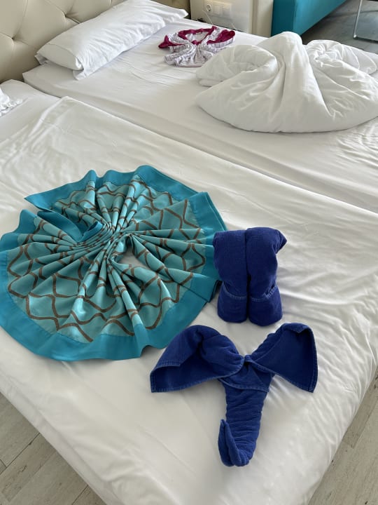 Sonstiges Sentido Marea