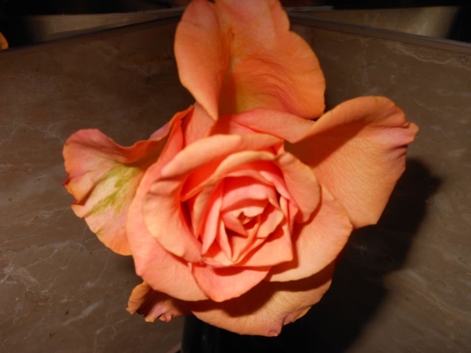 Badezimmer - Blume Sheraton Warsaw Hotel