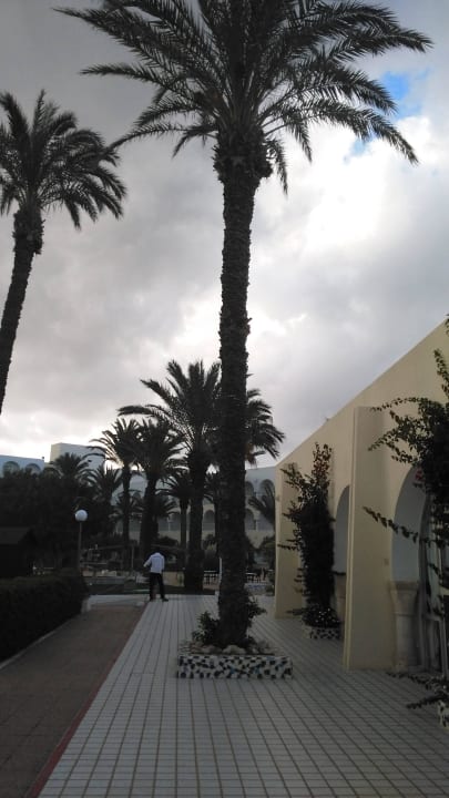 PrimaSol El Mehdi  El Mehdi Beach Resort