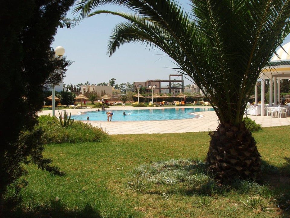 Widok na basen Hotel Zodiac