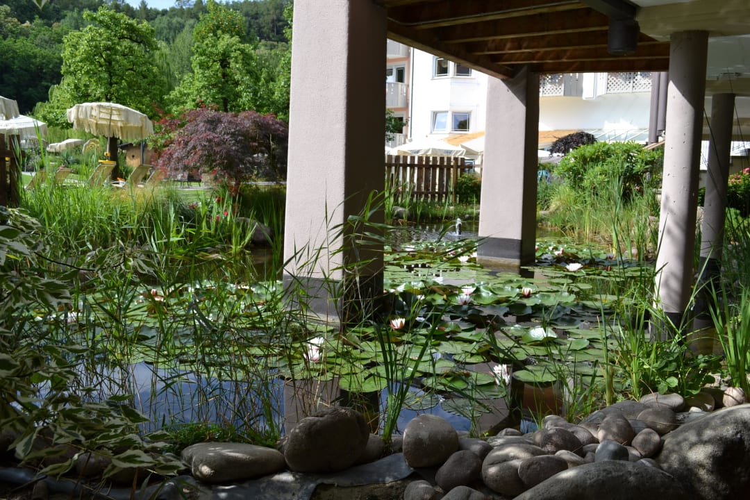 Teichanlage am Hotel Gartenhotel Moser