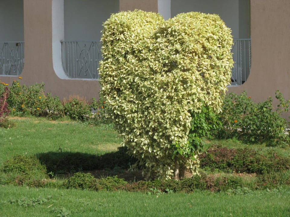 Schöner Baum in Herzform Titanic Resort & Aqua Park