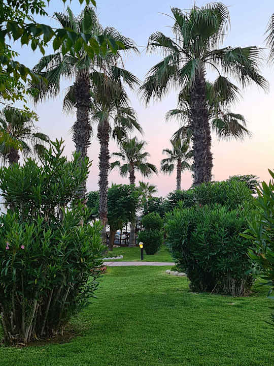 Gartenanlage Hotel Turan Prince