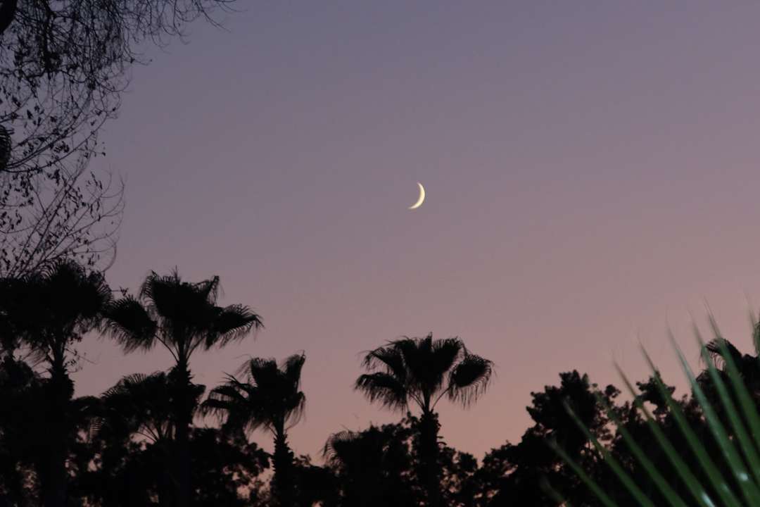 Außenansicht Rixos Premium Tekirova