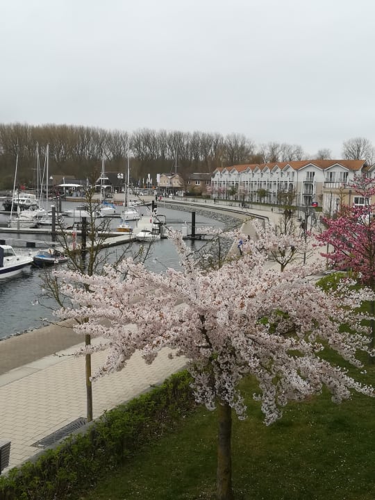 Ausblick Lindner Hotel Boltenhagen, part of JdV by Hyatt