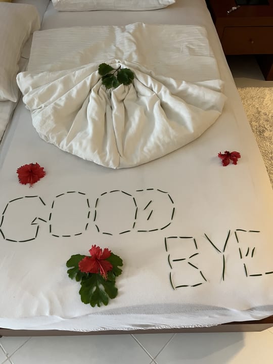 Zimmer Hotel Lanka Princess Ayurveda