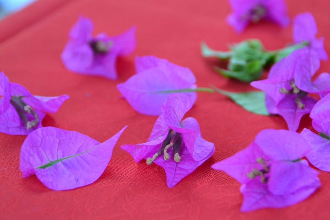 Kleiner Tischschmuck Hane Family Resort